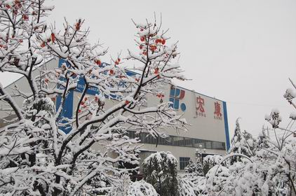 山东kaiyun官网：雪景一角.jpg